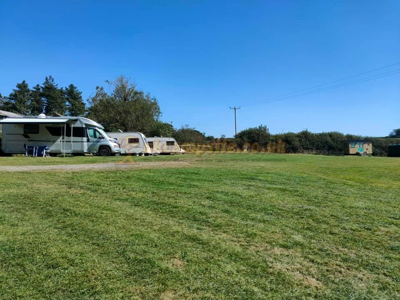 Hall Barton Organic Farm Camping And Shepherds Huts