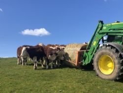 Hall Barton Organic Farm Camping And Shepherds Huts