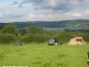 Berry Wood Farm Campsite