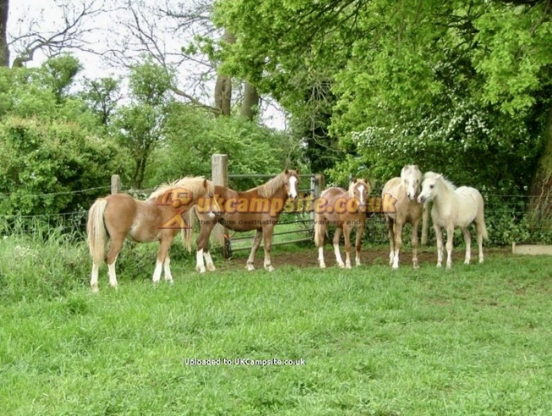Anitas Touring Caravan Park