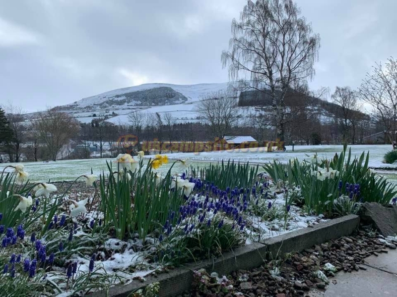 Kirkfield Caravan Park