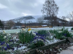 Kirkfield Caravan Park