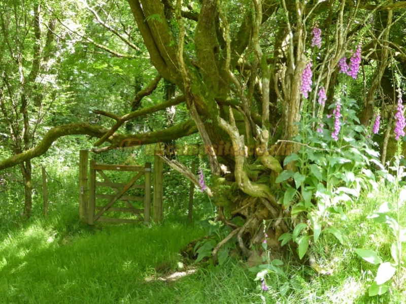 Venn Farm Certificated Location