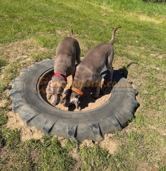 Venn Farm Certificated Location