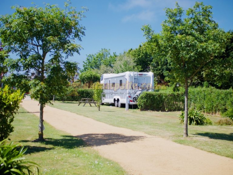 The Palms Campsite