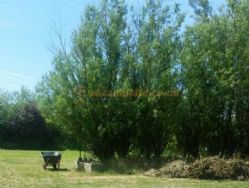 Hatters Farm Certificated Site