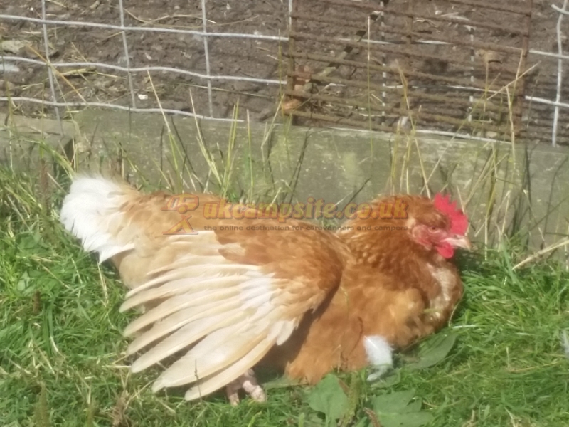 Hatters Farm Certificated Site