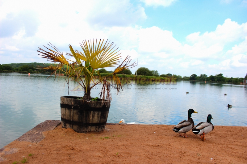 Bosworth Lakeside Lodges And Touring