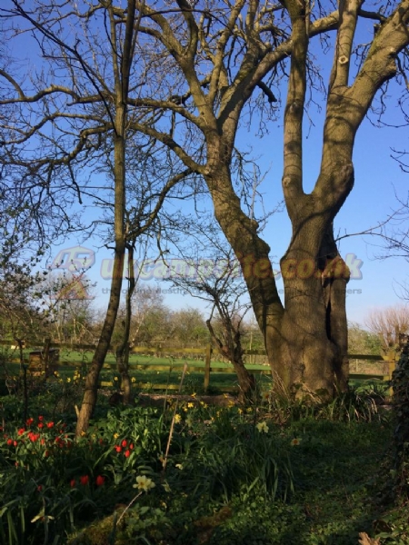 Old Manor Farm Certificated Site