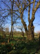 Old Manor Farm Certificated Site
