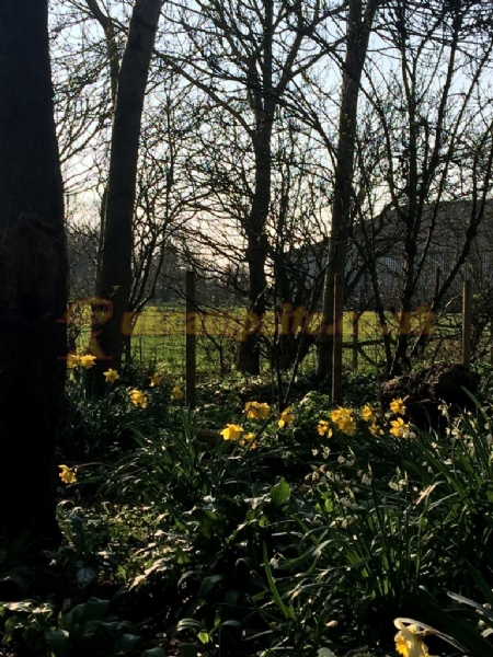 Old Manor Farm Certificated Site