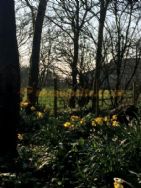 Old Manor Farm Certificated Site