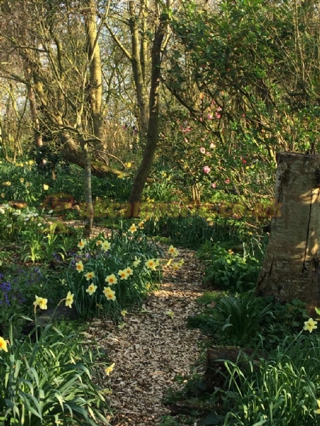 Old Manor Farm Certificated Site
