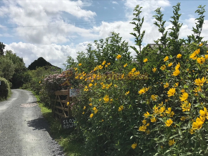 Old Manor Farm Certificated Site