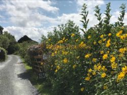 Old Manor Farm Certificated Site