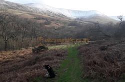 Pentwyn Farm