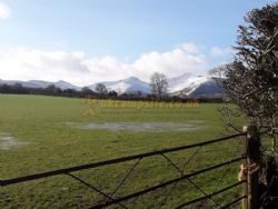 Pentwyn Farm