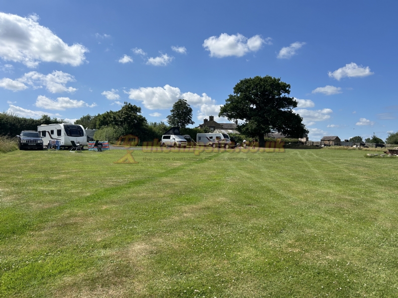 The Cud Life Harrogate