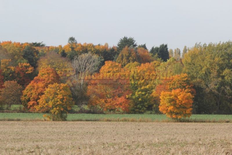 Burleigh Hill Farm Campsite