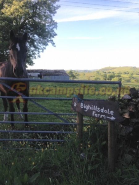 Big Hillsdale Farm
