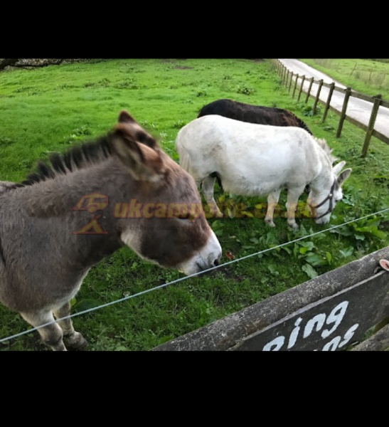 Big Hillsdale Farm