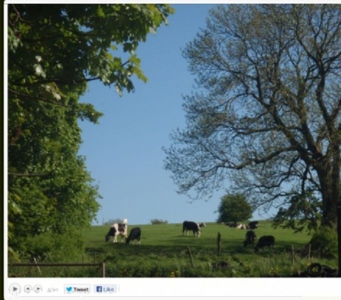 Big Hillsdale Farm
