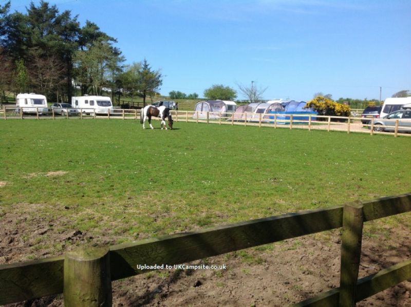 Maddybenny Farm