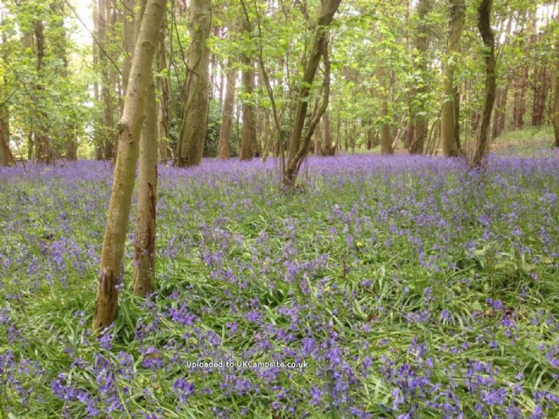 Warren Wood Park