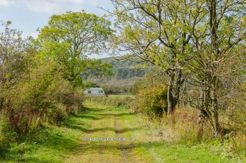 Linskeldfield Farm Certificated Site