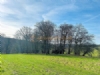 Newhouse Farm Wild Camping