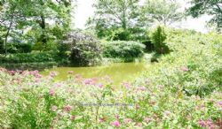 Camping Du Bois De Beaumard