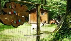 Camping Du Bois De Beaumard