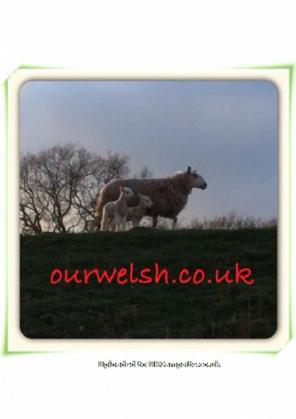 Our Welsh Caravan And Camping