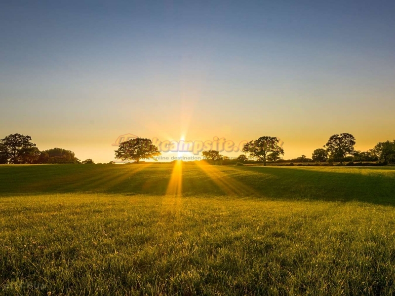 Brewery Farm Campsite