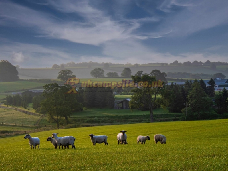 Brewery Farm Campsite
