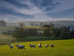 Brewery Farm Campsite