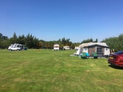 By The Wood Campsite Adult Only