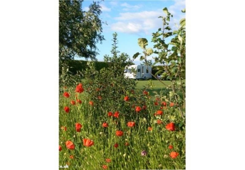 South Newlands Farm Certificated Site