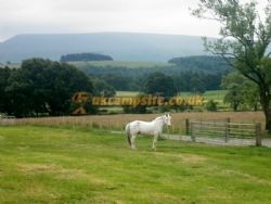 Calder Farm