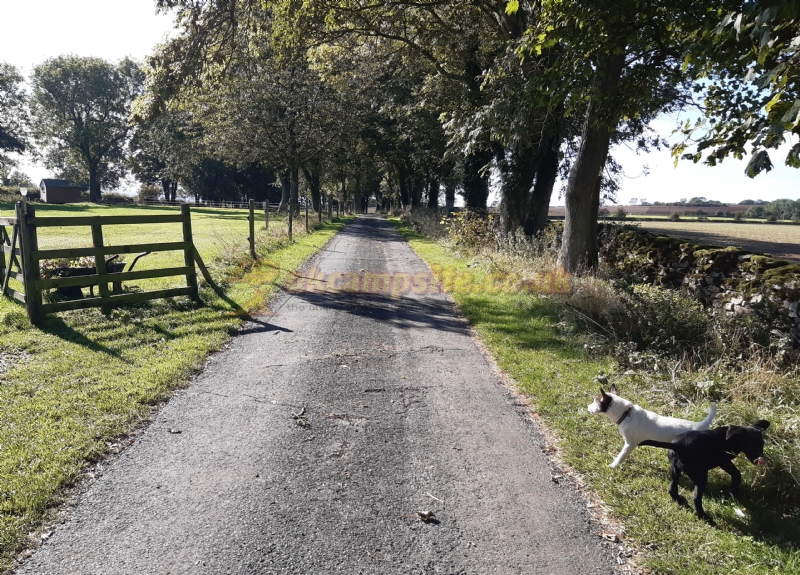 The Pheasantry Certificated Site