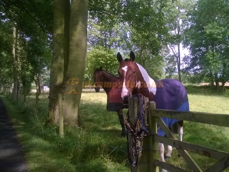 The Pheasantry Certificated Site