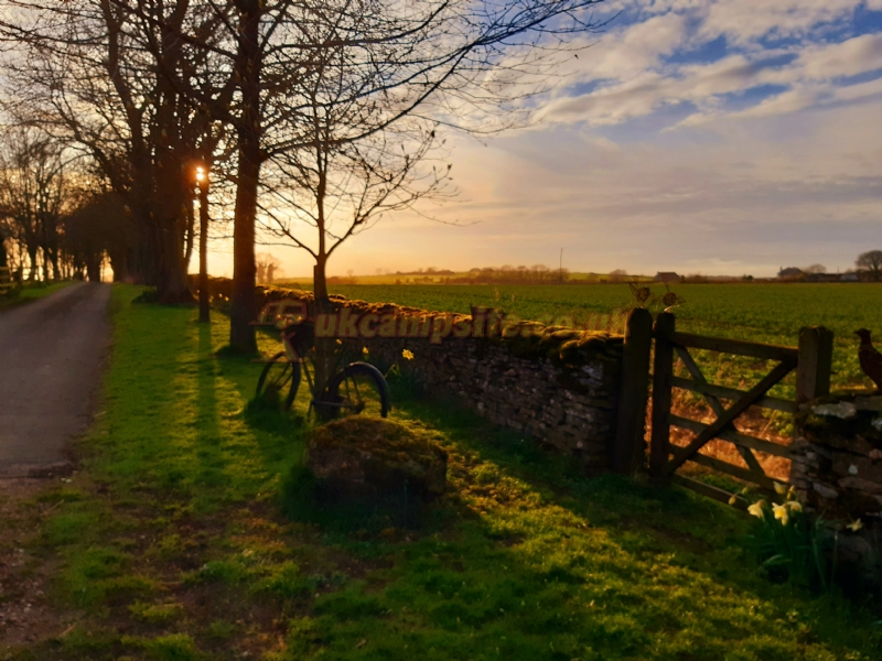 The Pheasantry Certificated Site