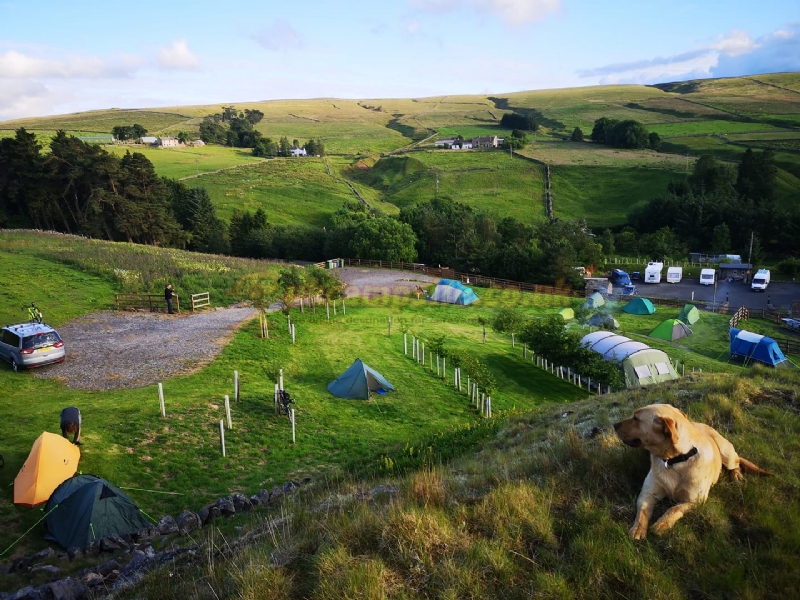 Haggs Bank Bunkhouse And Campsite