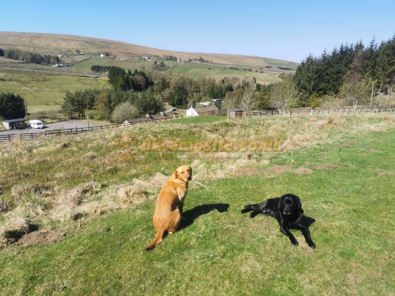 Haggs Bank Bunkhouse And Campsite