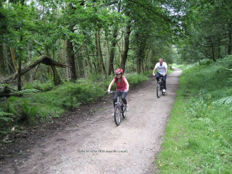 Deanwood Holidays Caravan And Camp Site