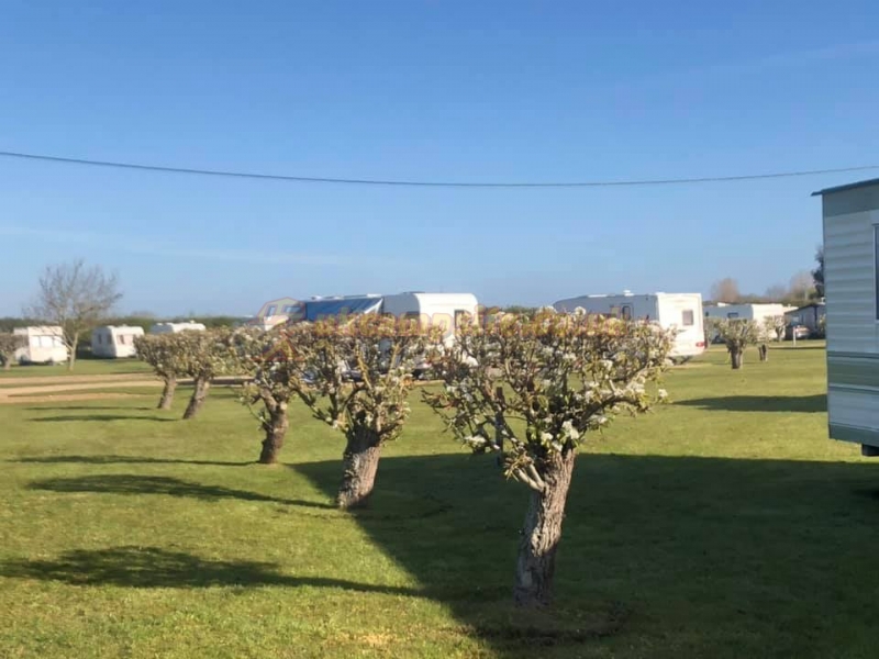 Roseberry Tourist Park