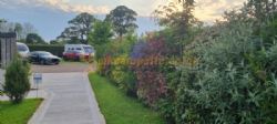 Charoland Farm Adult Only Quiet Site