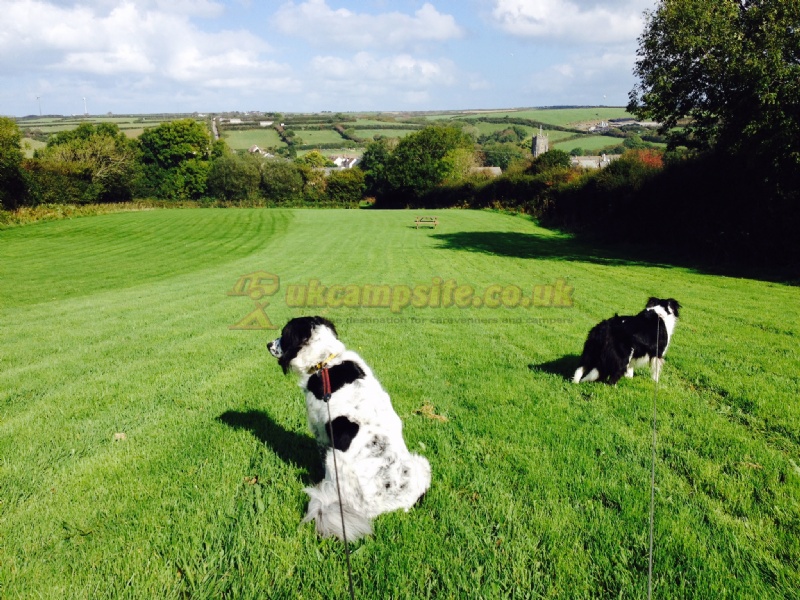 Pipcott Fields Campsite