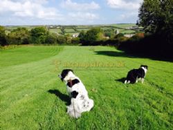 Pipcott Fields Campsite