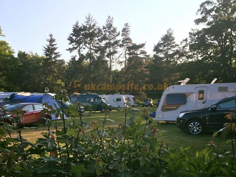 Sycamore Park Caravan Park And Campsite